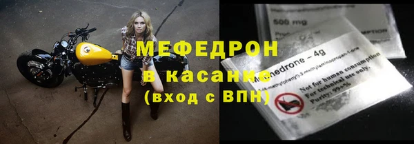 шишки Бикин