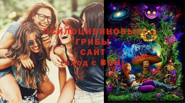 крисы Абинск